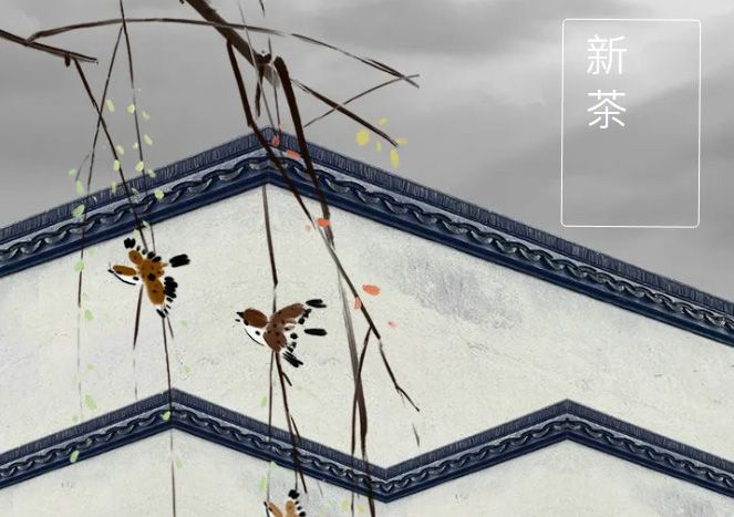 太極莊新菊上市！白菊婉清顏，芳香滿庭院